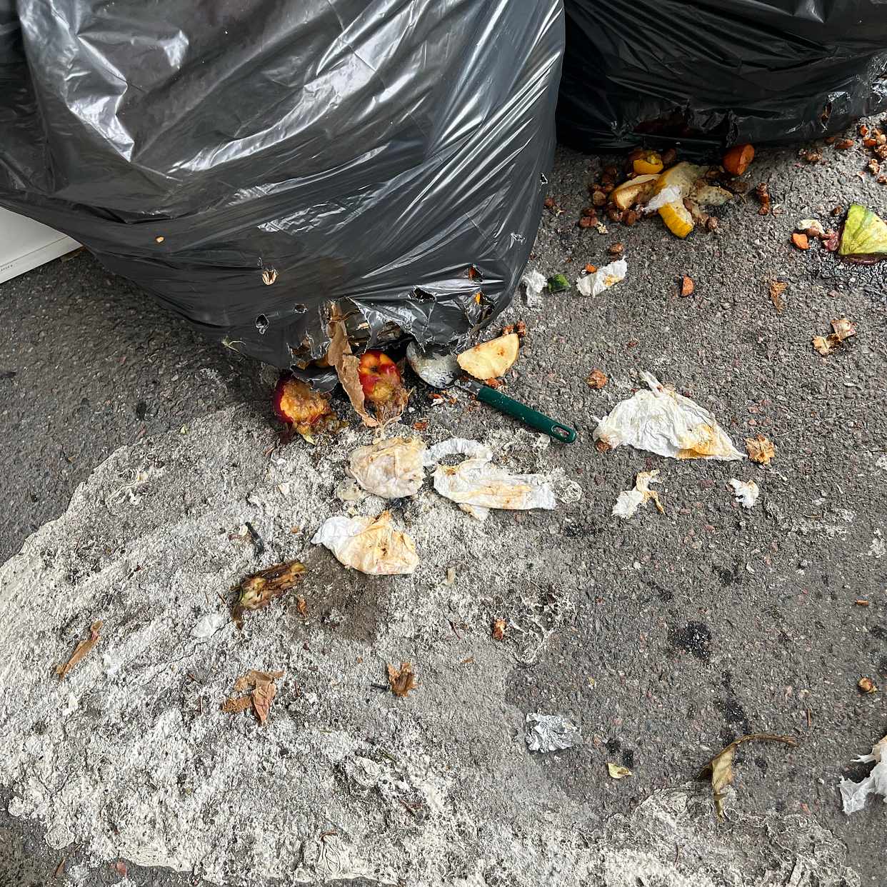 image of Bin waste - Upplands Väsby