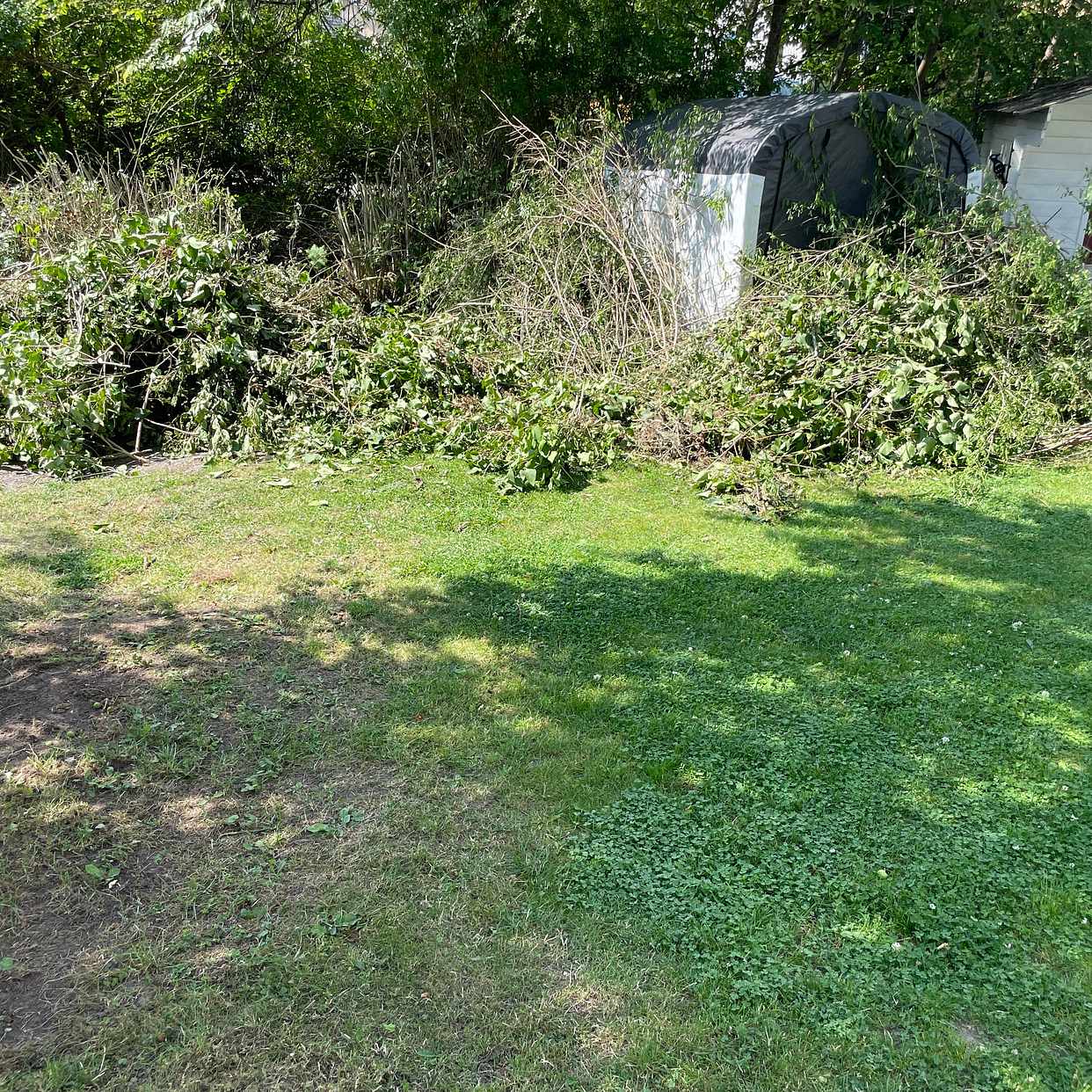 image of Slänga trädgårdsavfall - Sköndal