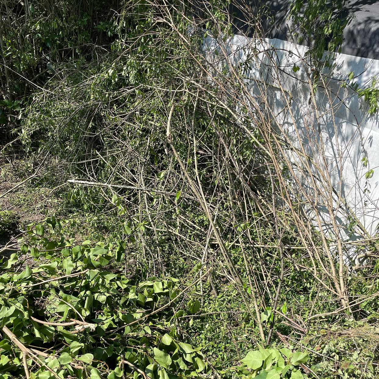 image of Slänga trädgårdsavfall - Sköndal