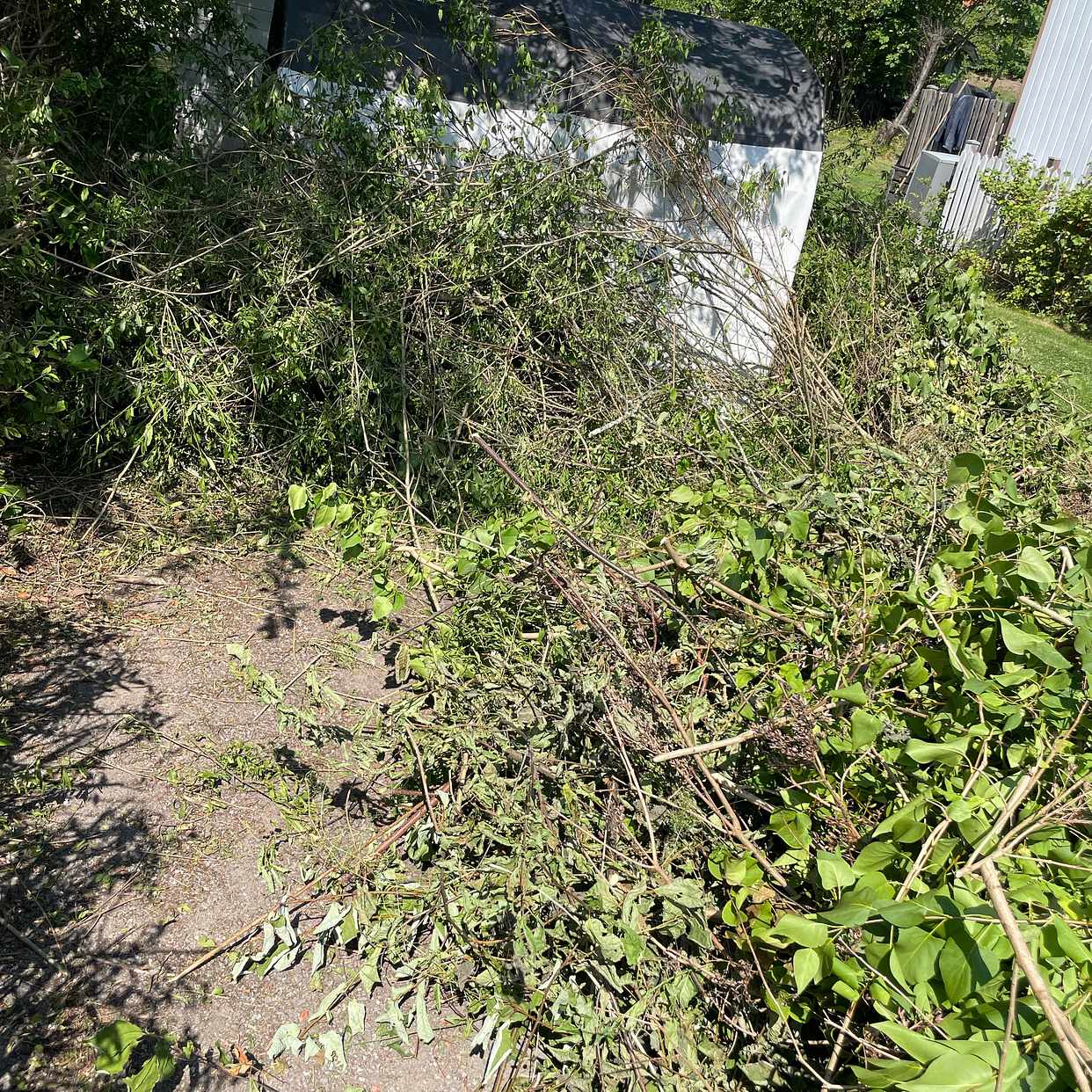 image of Slänga trädgårdsavfall - Sköndal