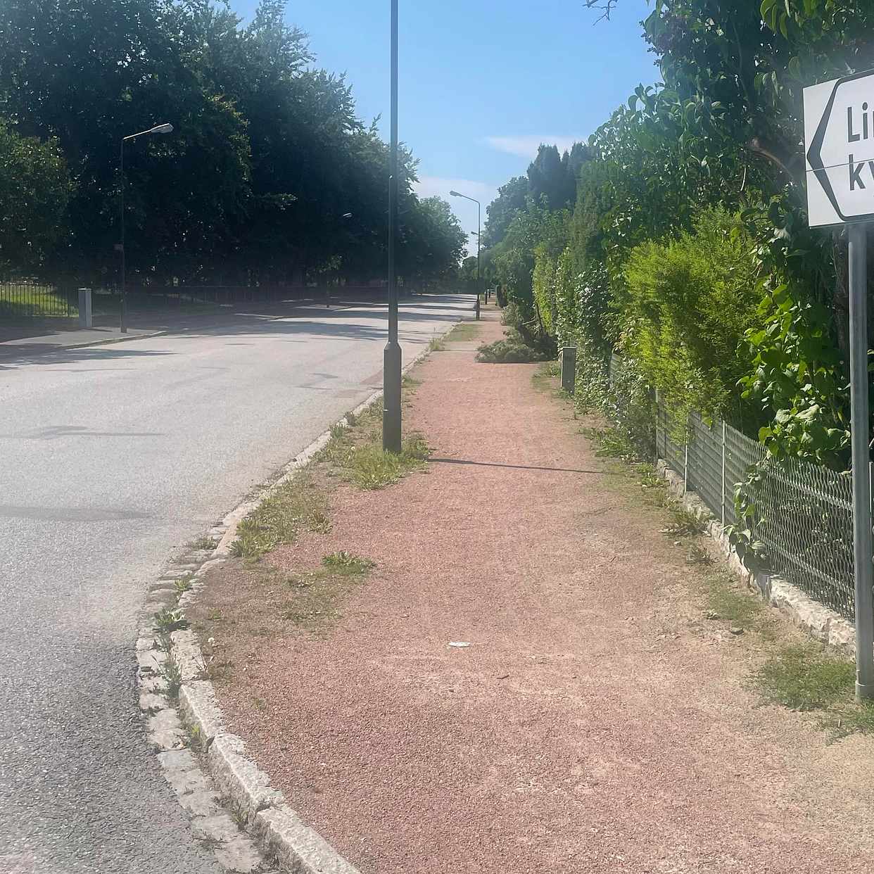image of Träd, kartong, trä - Limhamn