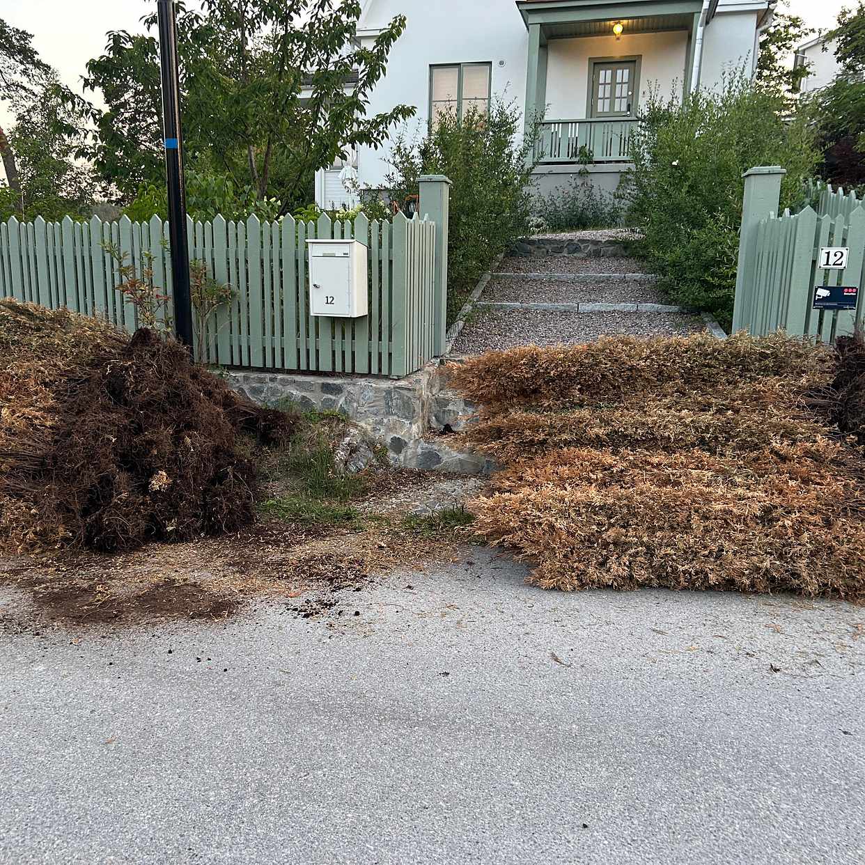 image of Slänga  Thuja plantor - Saltsjö-Duvnäs