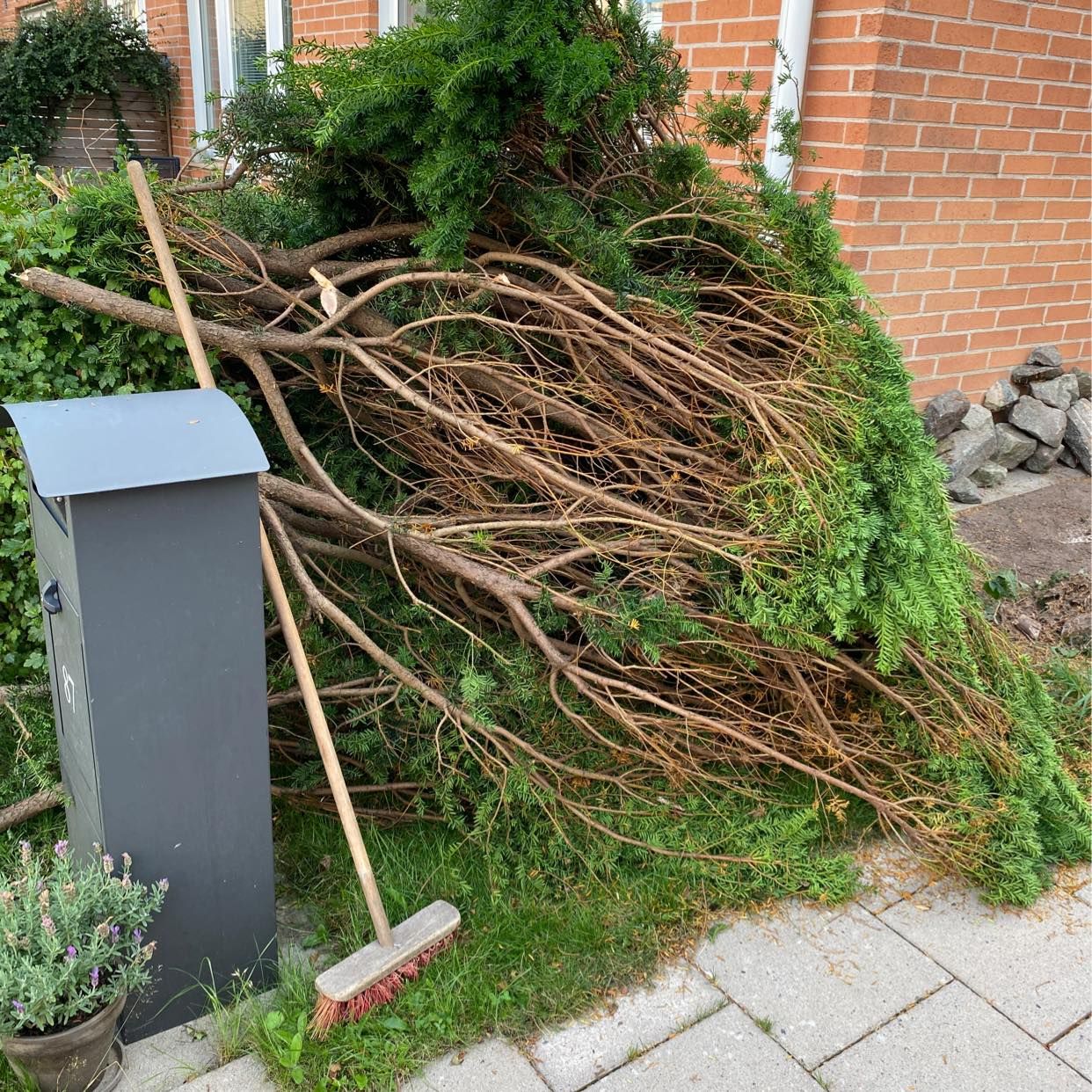Trädgårdsavfall