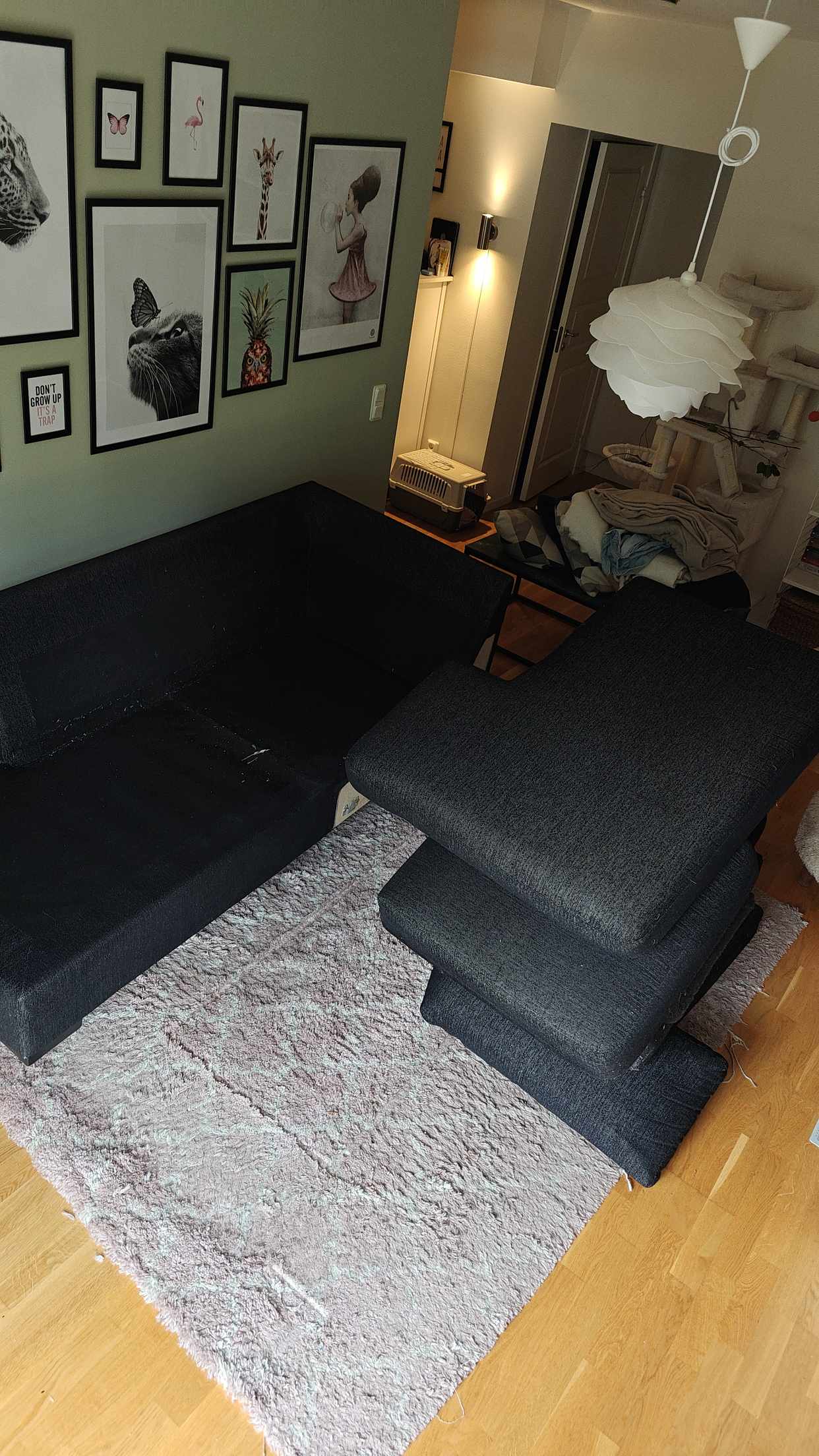 image of Couch + rug - Hägersten