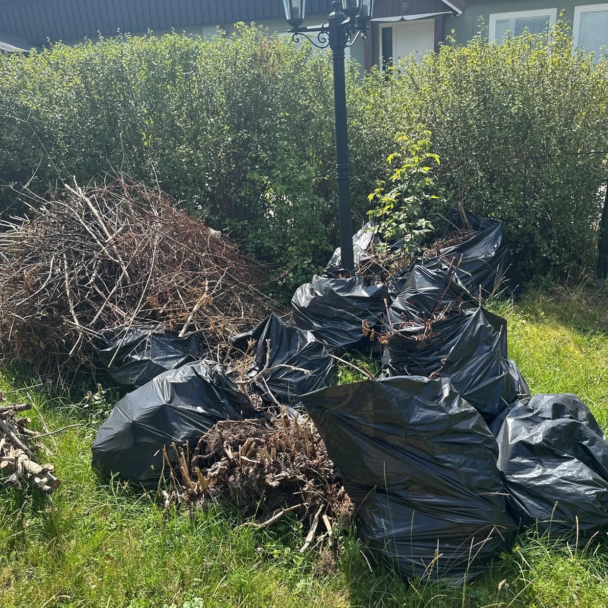 Bara grenar och några löv