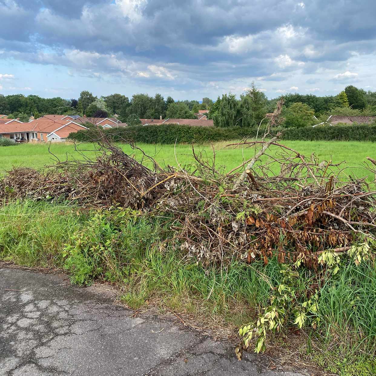 image of Remove branches and bushe - Brunnby