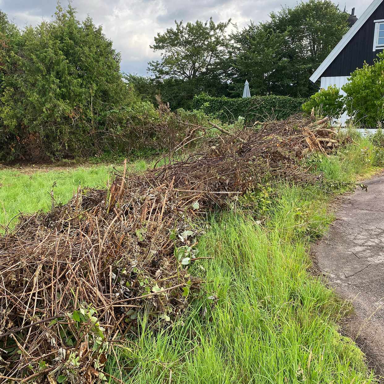 image of Remove branches and bushe - Brunnby