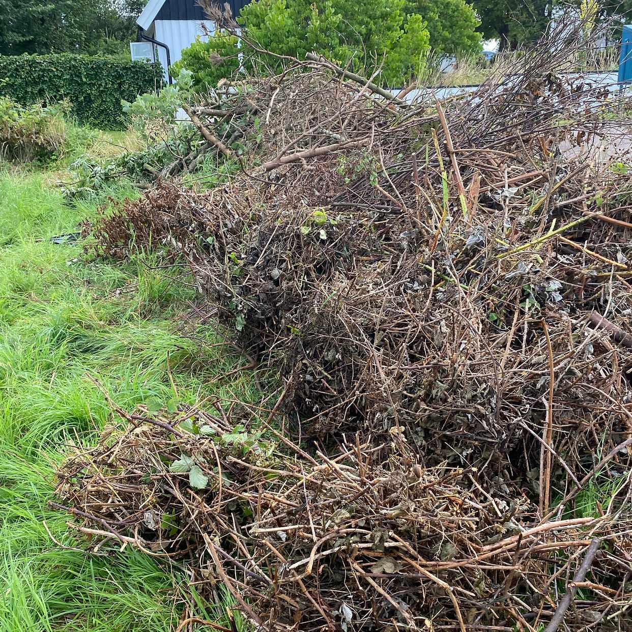 image of Remove branches and bushe - Brunnby