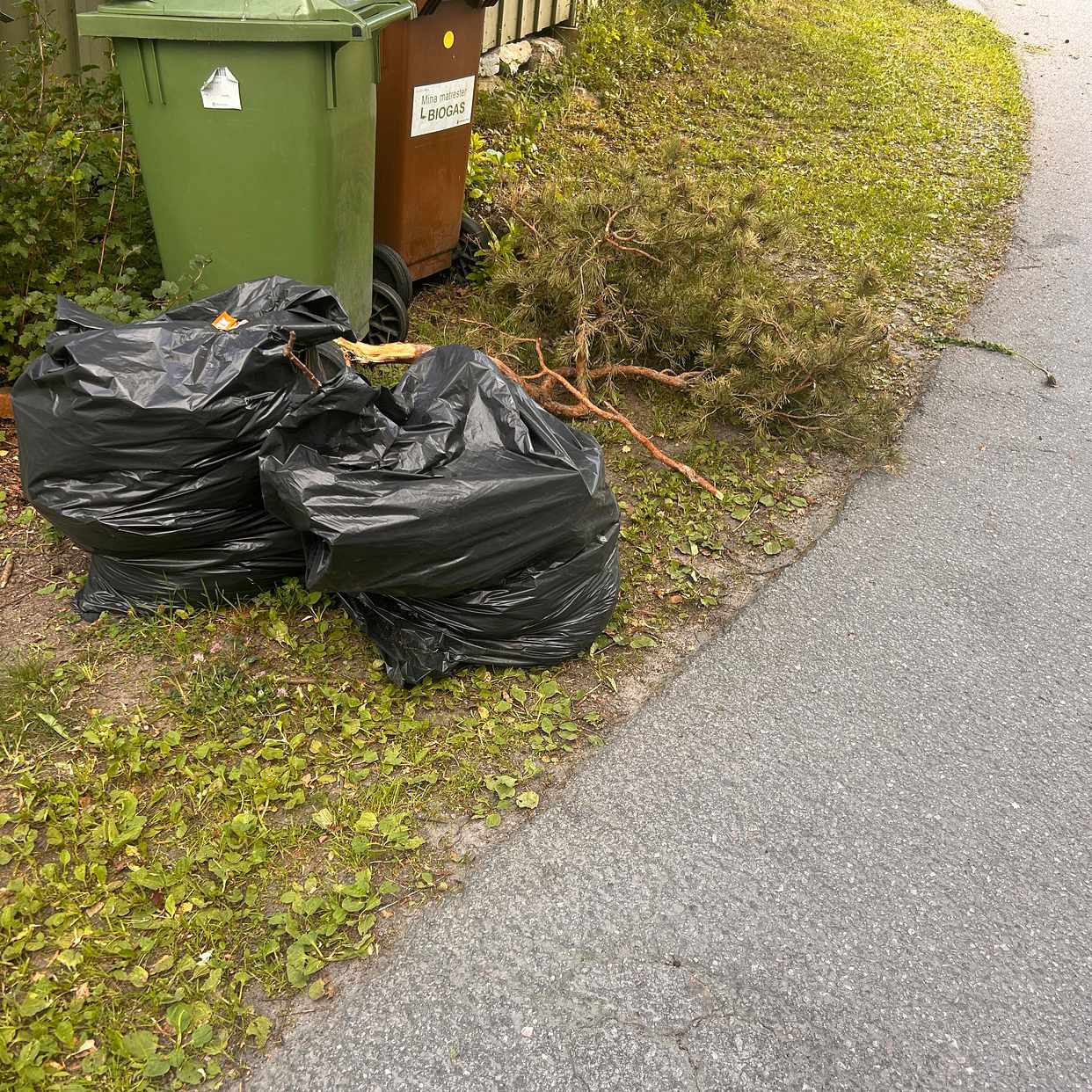 image of Ogräs gren - Lidingö