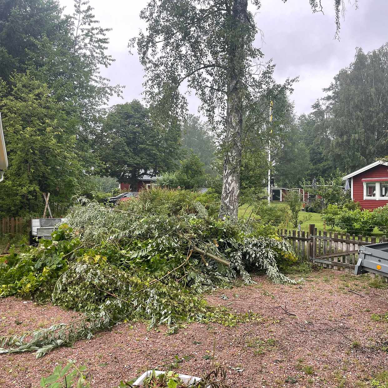 image of Grenar och kvistar - Ljusterö