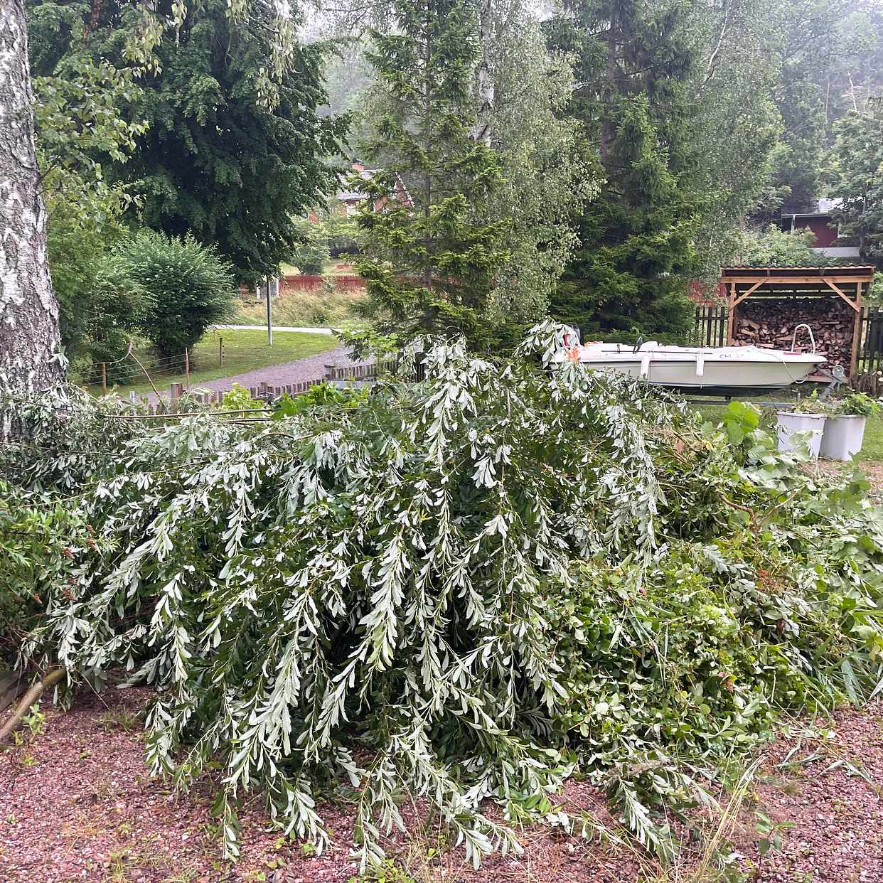 image of Grenar och kvistar - Ljusterö