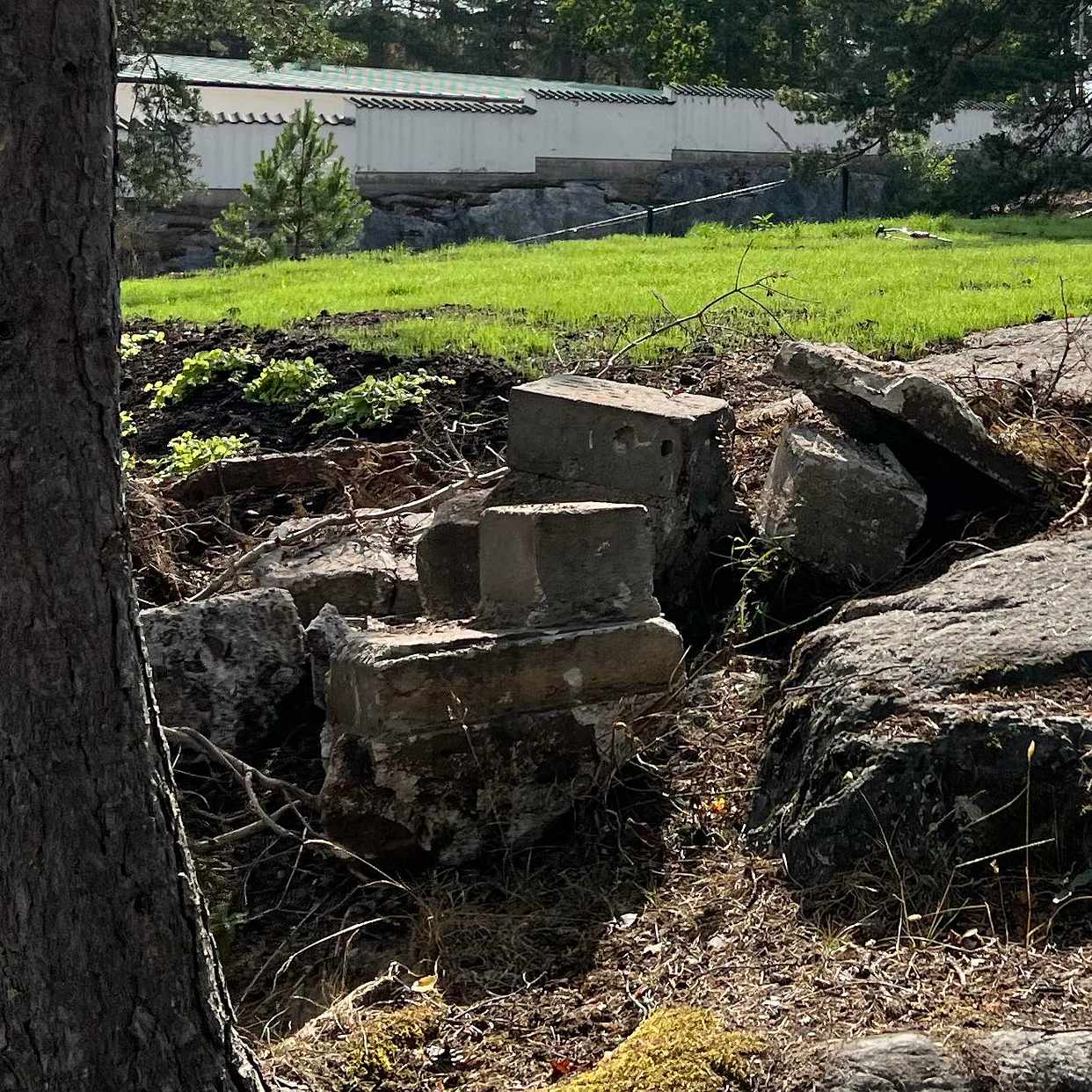 image of 7 betongklumpar och rot - Värmdö
