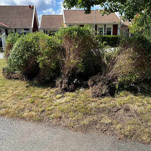 image of Buskar - Märsta