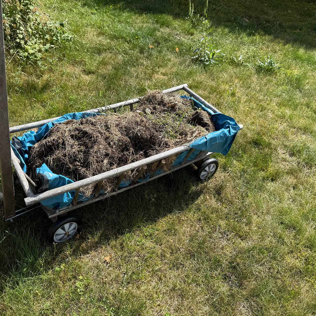 image of Kartonger, gräs och övrig - Värmdö