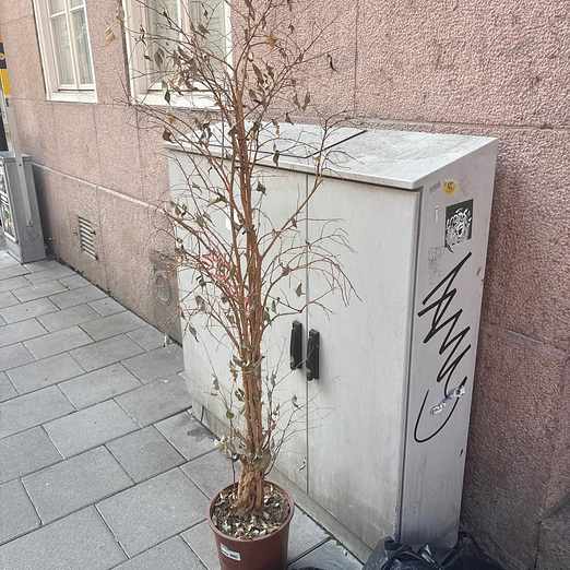 image of Tree - Norrmalm