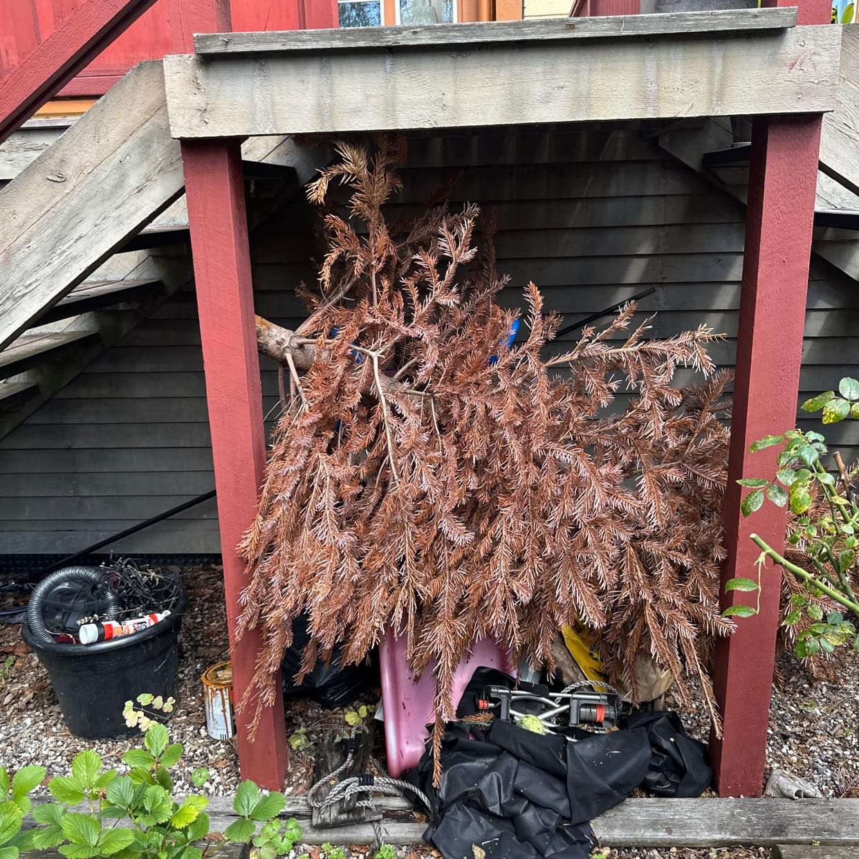image of Kastats eller återvinn - Sollentuna