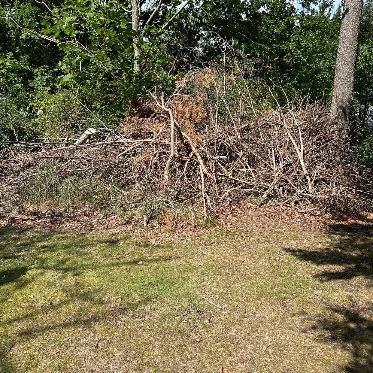 image of Trädgårdsavfall till tipp - Löddeköpinge
