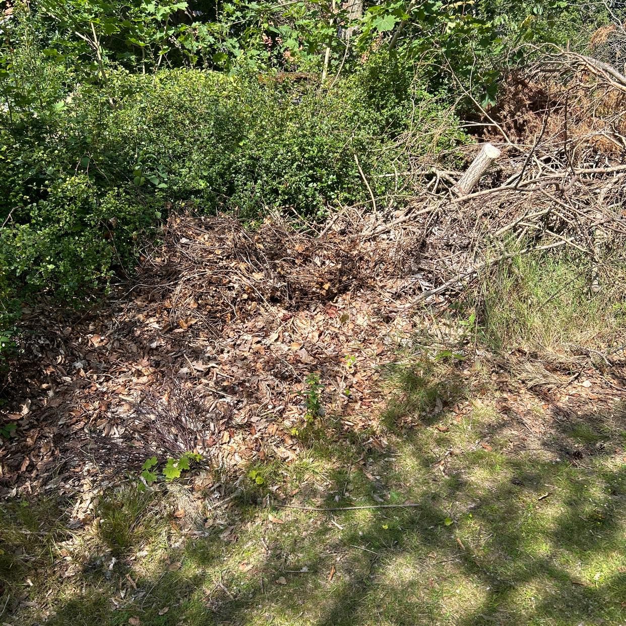 image of Trädgårdsavfall till tipp - Löddeköpinge