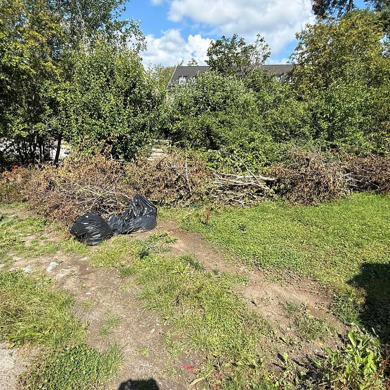 image of Buskar och grenar - Vällingby