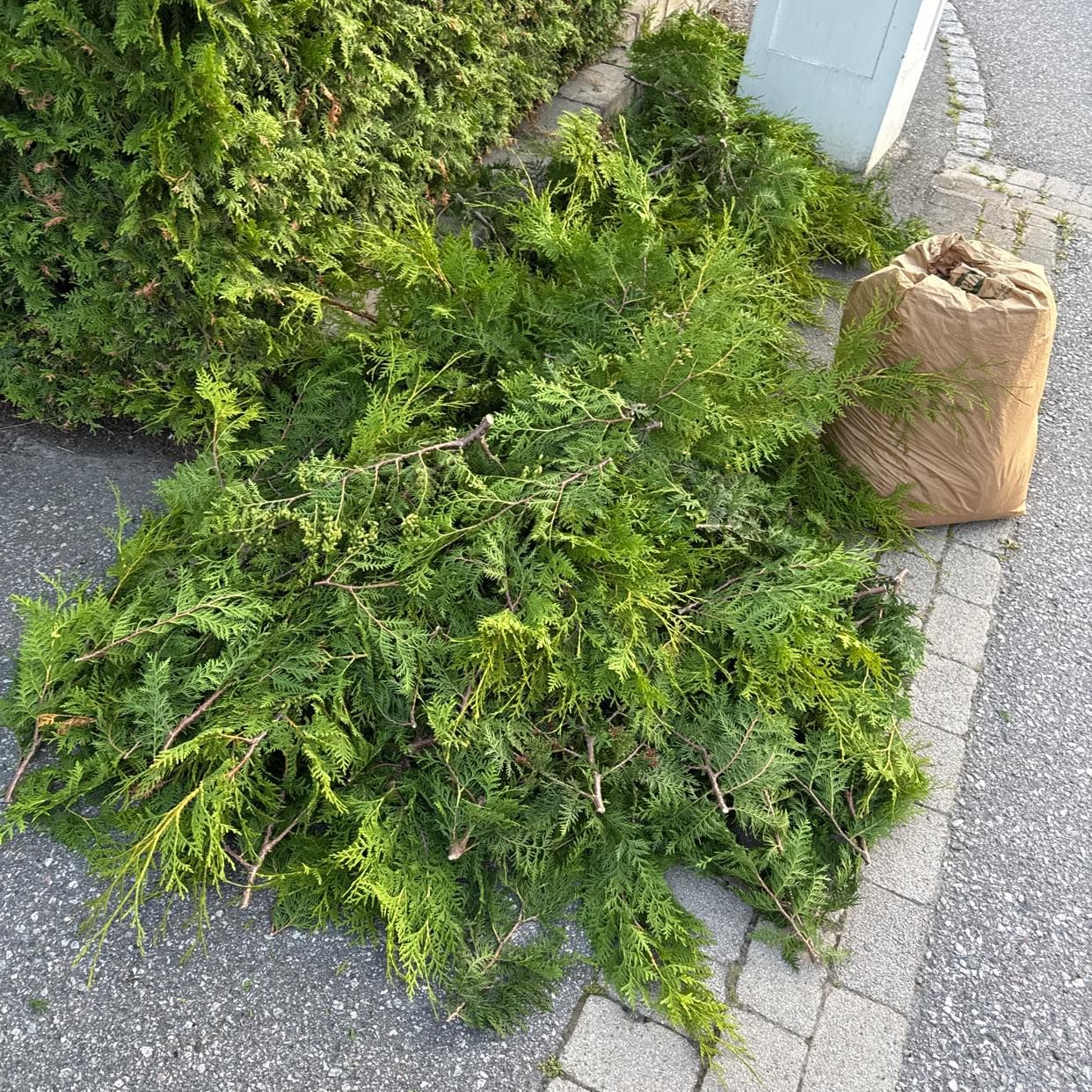 image of Garden waste - Täby