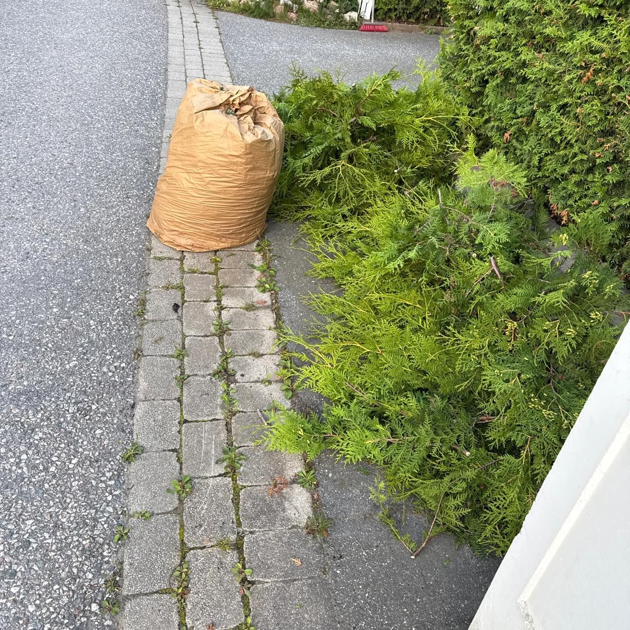 image of Garden waste - Täby