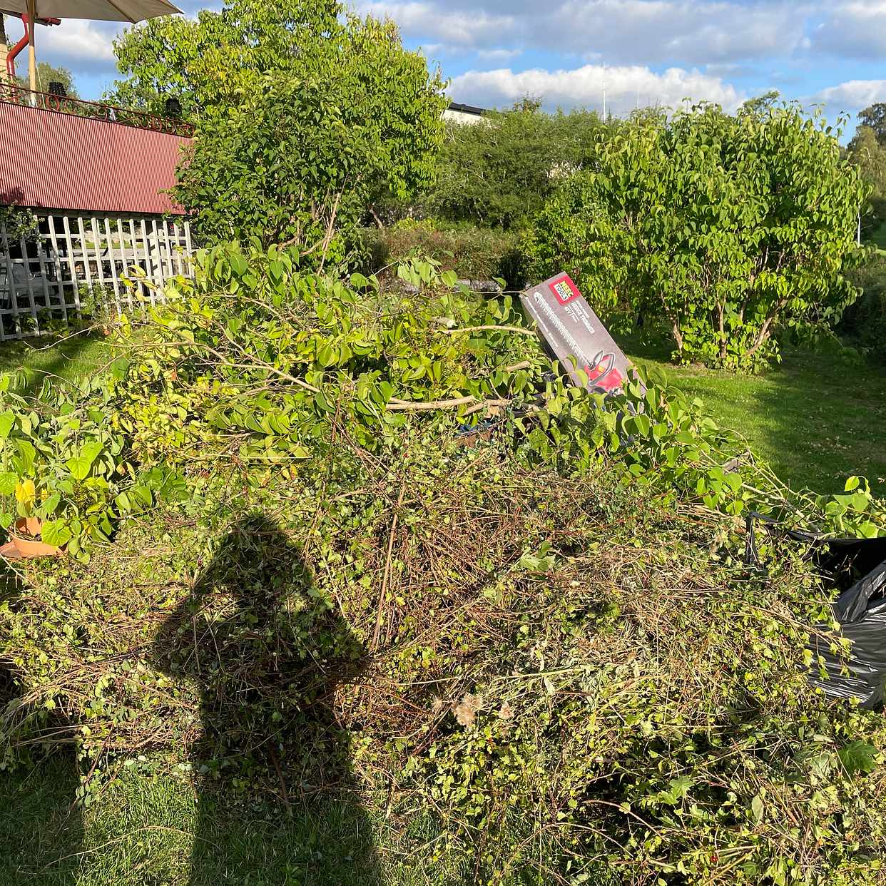 image of Ris, diverse - Älta