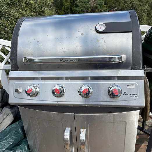 Gas grill bbq
