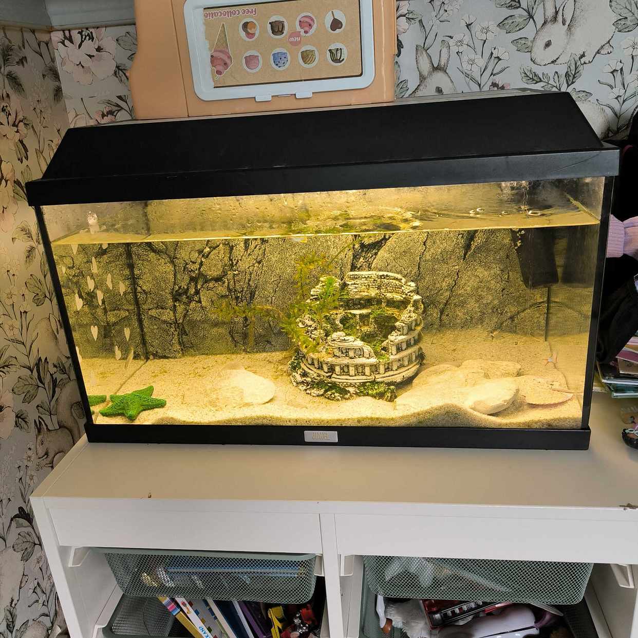 image of Akvarium - Malmö