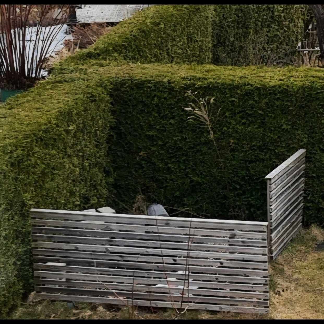 Gräs+ Ingen uphämttning